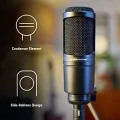 Audio-Technica AT2020 Cardioid Condenser Studio XLR Microphone, Ideal for Project/Home Studio Applications, Black. 