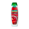 PALMOLIVE - BRILLIANT COLOR SHAMPOO - 350ML. 