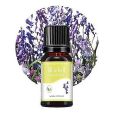 10ml Fragrance Oil Long Lasting Water Soluble Plant Extract Flower Natural Aromas Essential Oil for Diffuser Humidifier. 