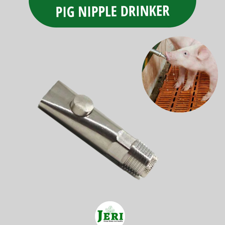 New Design Automatic Nipple Drinker For Pig Farm Equipment