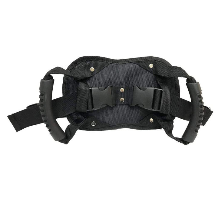 Motorcycle%20Back%20Seat%20Safety%20Armrest,%20Passenger%20Grip%20Grab%20Handle%20Non-Slip%20Strap%20Seat%20Belt%20Protection%20-%20Image%209