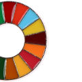 Enamal 17 Colors Sustainable Development Goals Brooch United Nations Pin Badge. 