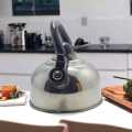 RICH Trusted, Choice Stainless steel whistling kettle. 