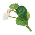 Lotus  Artificial Flower Water Lily Micro Landscape Home Plants Decor. 