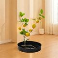 Japanese Flower Vase Ikebana Suiban Bonsai Holder Flower Arrangements Plastic Flower Tray Kitchen Bathroom Cosmetic Storage Tray. 
