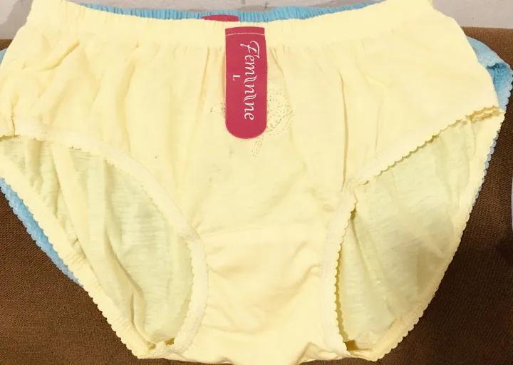 Ladies%20Budget%20Pack%20of%206%20Panties%20-%20Image%203