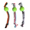 Dog Playing Toy. 