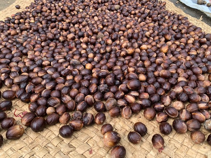 Nutmeg%201kg%20(%20Sadikka%20)%20High%20Quality%20Spices%20Sri%20Lankan%20Organic%20Herbs%20-%20Image%203