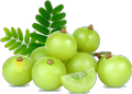 Menna Products Amla (Nelli) Powder 100g. 