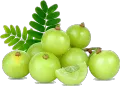 Menna Products Amla (Nelli) Powder 100g. 