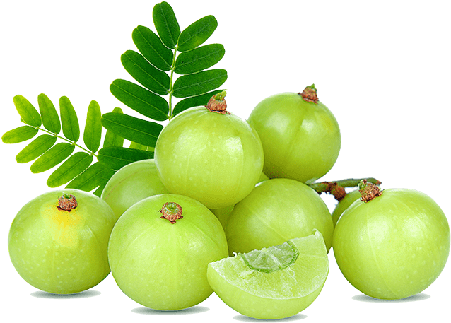 Menna%20Products%20Amla%20(Nelli)%20Powder%20100g%20-%20Image%204