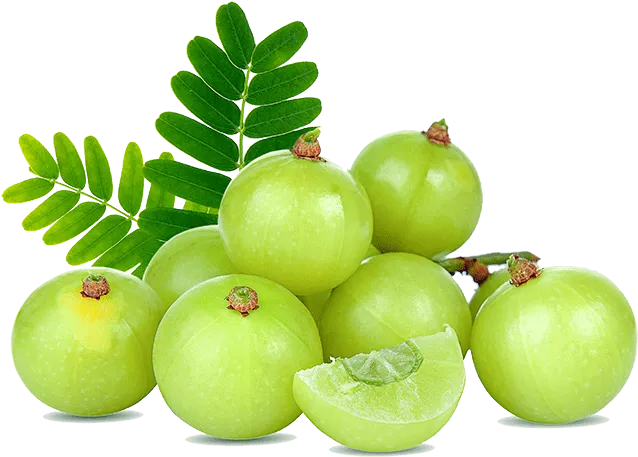 Menna%20Products%20Amla%20(Nelli)%20Powder%20100g%20-%20Image%204