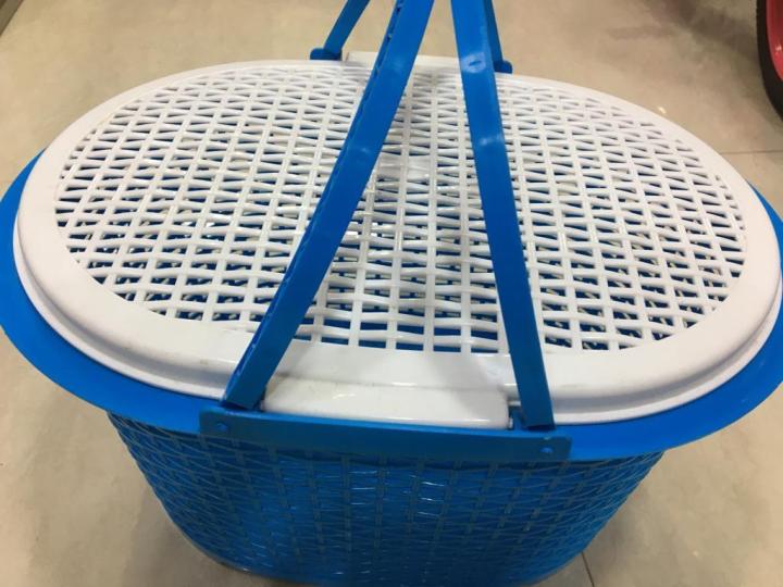 Baby%20Basket%20/%20Carry%20Basket%20/%20Storage%20Box%20(DAMRO-Daxer)%20-%20Image%203