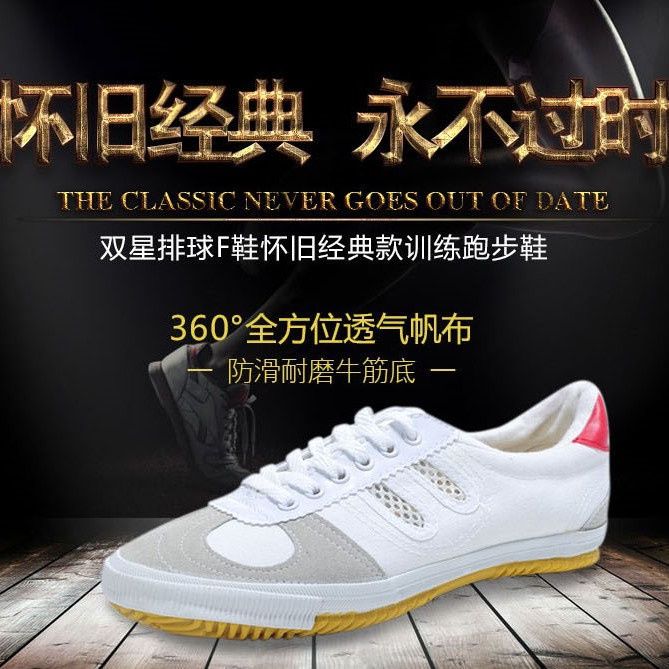 Martial Arts Shoes Double Star Volleyball Shoes Morning Exercise Men and Women Training Shoes Sneaker Beef Tendon Bottom Canvas Shoes Body Test Shoes Free Shipping