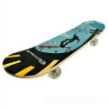Skating Board. 