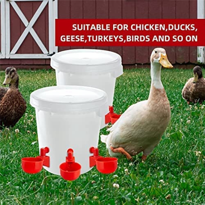 Chicken%20Water%20Cups,%20Automatic%20Chicken%20Waterer%20Kit%20for%20Poultry%20Filling%20Waterer%20Poultry%20Drinking%20Bowl%20for%20Chicken%20-%20Image%205