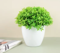 Artificial Plastic Plants Bonsai Small Tree Pot Fake Plant Potted Flower Home Room Table Decoration Garden Arrangement Ornaments. 