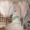 Natural Fake Wedding Decor For Home Decoration Bedroom Plante Artificial Flower Pampas Grass Fake Flowers Artificial Reed. 