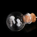 10Pcs/Set Small Glass Bottles Clear Mini Wishing Bottles with Cork Stoppers. 