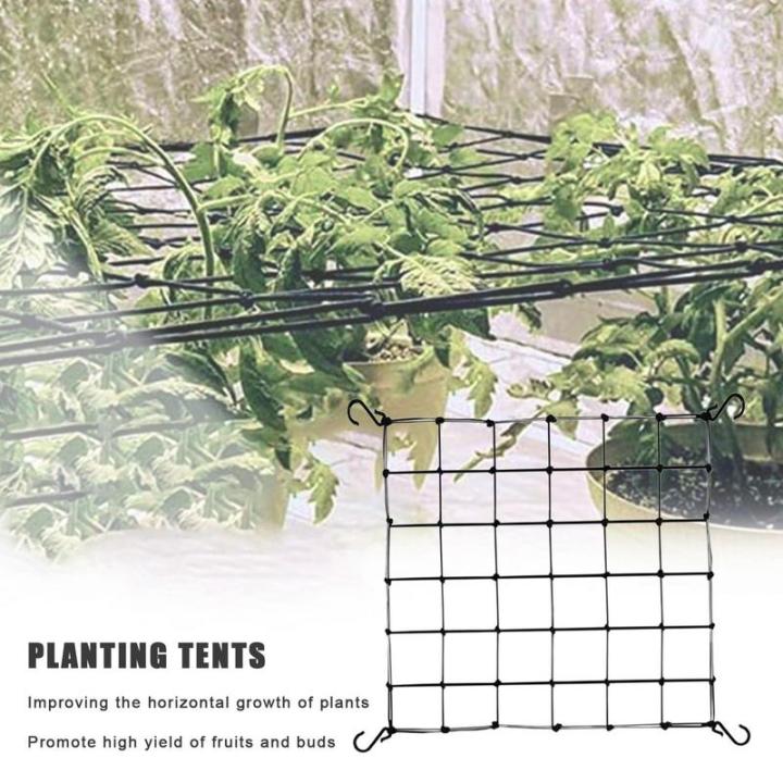 Climbing%20Net%20Support%20Netting%20Elastic%20Support%20Fence%20With%204%20Hooks%20For%20Watermelon%20Pumpkin%20Strawberry%20-%20Image%202