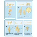 Skeleton Model Practical Ability Smooth Plastic Biological  Science Learning Kit for Kids. 