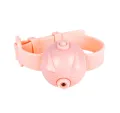 Lovinland Smart Laser Cat Toy Wearable Automatic Teasing Cat Collar USB Charging Collars Interactive Training Kitten. 