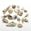 10-20pcs mixed batch starfish conch shell ocean beach pendant for jewelry making DIY handmade accessories furniture ornamentsUSB Fan. 