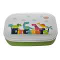 Coloured Lunch Box. 