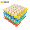 Plastic Egg Tray Egg Holder. 