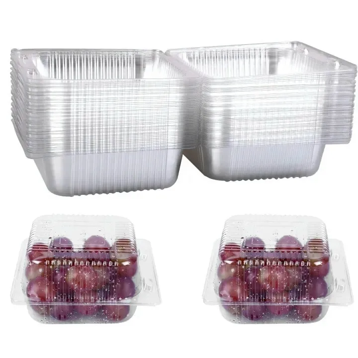 25%20Pieces%20Clear%20Transparent%20Hinged%20Plastic%20Container%20Disposable%20Single%20Compartment%20Take%20Out%20Togo%20Boxes%20For%20Multi%20Purpose%20Usage%20Boxes%2013x13cm%20-%20Image%202