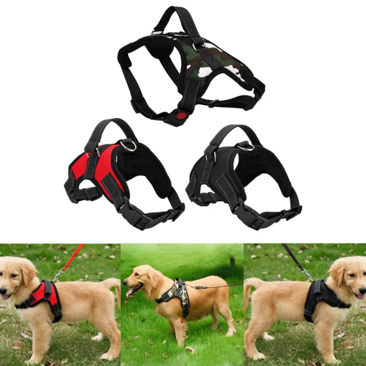 Heavy%20Duty%20Dog%20Pet%20Harness%20Collar%20Adjustable%20and%20Soft%20Chest%20Belt%20(Free%20Size)%20-%20Image%206