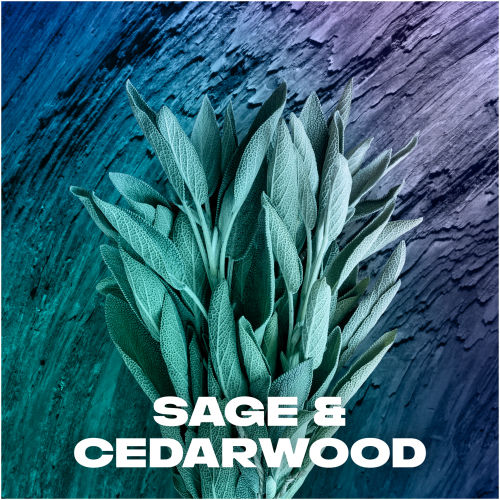 Axe%20Apollo%2048%20Hours%20Anti%20Sweat%20with%20Pro%20Scent%20150ml%20-%20AXE%20Apollo%20Antiperspirant%20Deodorant%20Body%20Spray%20Long%20Lasting%20-%20Image%205