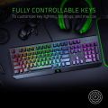 Razer BlackWidow Mechanical Keyboard 2019 Gaming Office 104 Keys RGB Green Switches Wired Keyboard Black. 