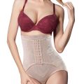High-Waist Tummy Control Shapewear Panty – Mesh Waist Trainer & Butt Lifter for Women. 