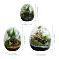 【HOT】 Creative Egg-Shaped Glass Bottles Succulent Glass Vase Hydroponic Fleshy Micro Landscape Glass Terrarium Moss Home Decoration. 