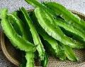 winged bean ( Dambala ) 100 Seeds දඹල ඇට. 