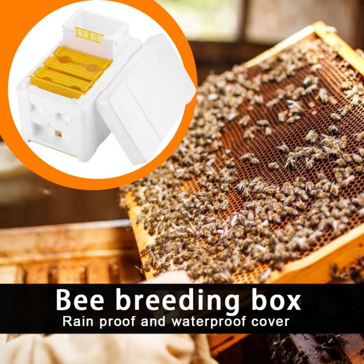 1/2/3pcs%20Beehive%20Beekeeping%20King%20Box%20Foam%20Home%20Bee%20Hive%20Pollination%20Boxes%20Harvest%20Bee%20Hive%20Beekeeper%20Mating%20Accessories%20-%20Image%205