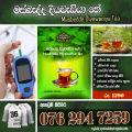 මස්බැද්ද තේ පානය , ආයුර්වේද අනුමැතිය සහිත ශරීරයේ සීනි මට්ටම නිට්ටාවටම සුව කරන herbs by sega වෙතින් ගෙනෙන මස්බැද්ද තේ පානය. 