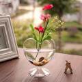 Clear Glass Vase Flower Arrangement Desk Planter for Living Room Party. 