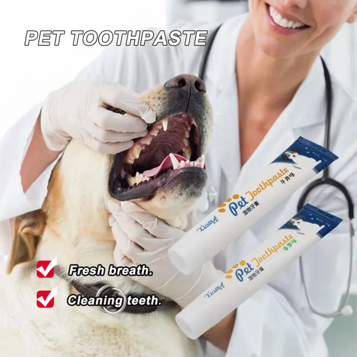 Pet%20Dog%20Toothpaste%20Beef%20Flavor%20Paste%20Dog%20Healthy%20Teeth%20Brushing%20Cleaner%20For%20Finger%20Back%20Up%20Brush%20Care%20Cat%20-%20Image%202