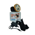 XRT 30w Head Torch XJ-410. 