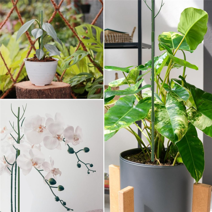 Monstera%20Plant%20Support%20Clips%20Ties%20Set%20Plant%20Support%20Stakes%20Moss%20Pole%20for%20Indoor%20Plants%20Green%20-%20Image%208