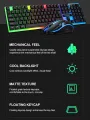 Gaming Keyboard and mouse. 