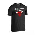 Chicago Bulls Logo Printed T shirt for men - Black. 
