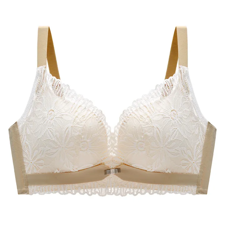 TZ%20Summer%20Women's%20Fashion%20Underwear%20Small%20Chest%20Push%20Up%20Big%20Lace%20Edge%20Breathable%20Push%20Up%20Accessory%20Breast%20Push%20Up%20Bra%20Set%20-%20Image%209
