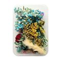 Mix Beautiful Real Dried Flowers Natural Floral For Art Craft Scrapbooking Resin Jewelry Craft Making Epoxy Mold. 