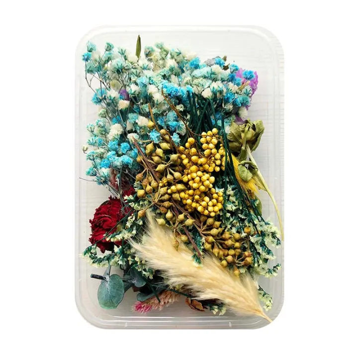Mix%20Beautiful%20Real%20Dried%20Flowers%20Natural%20Floral%20For%20Art%20Craft%20Scrapbooking%20Resin%20Jewelry%20Craft%20Making%20Epoxy%20Mold%20-%20Image%207