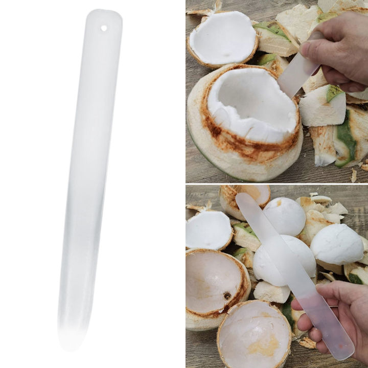 Coconut%20Egg%20Scraper%20Washable%20Coconut%20Meat%20Extractor%20Coconut%20Egg%20Scraper%20-%20Image%204