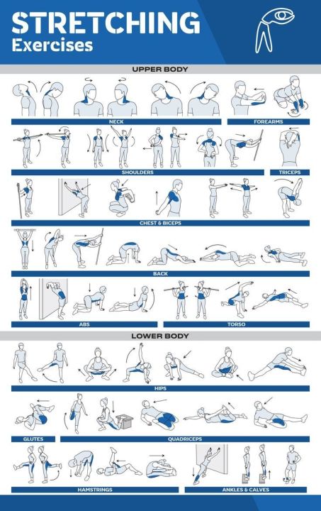 Core And Stretch Exercise Class Routine Stretching Exercises Posters for Home Gym Exercise Posters for Full ...