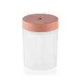 Tinzzi Portable Colorful Light Humidifier Mini USB Charging Desktop Humidifier for Home Office(6.8x9.1cm). 